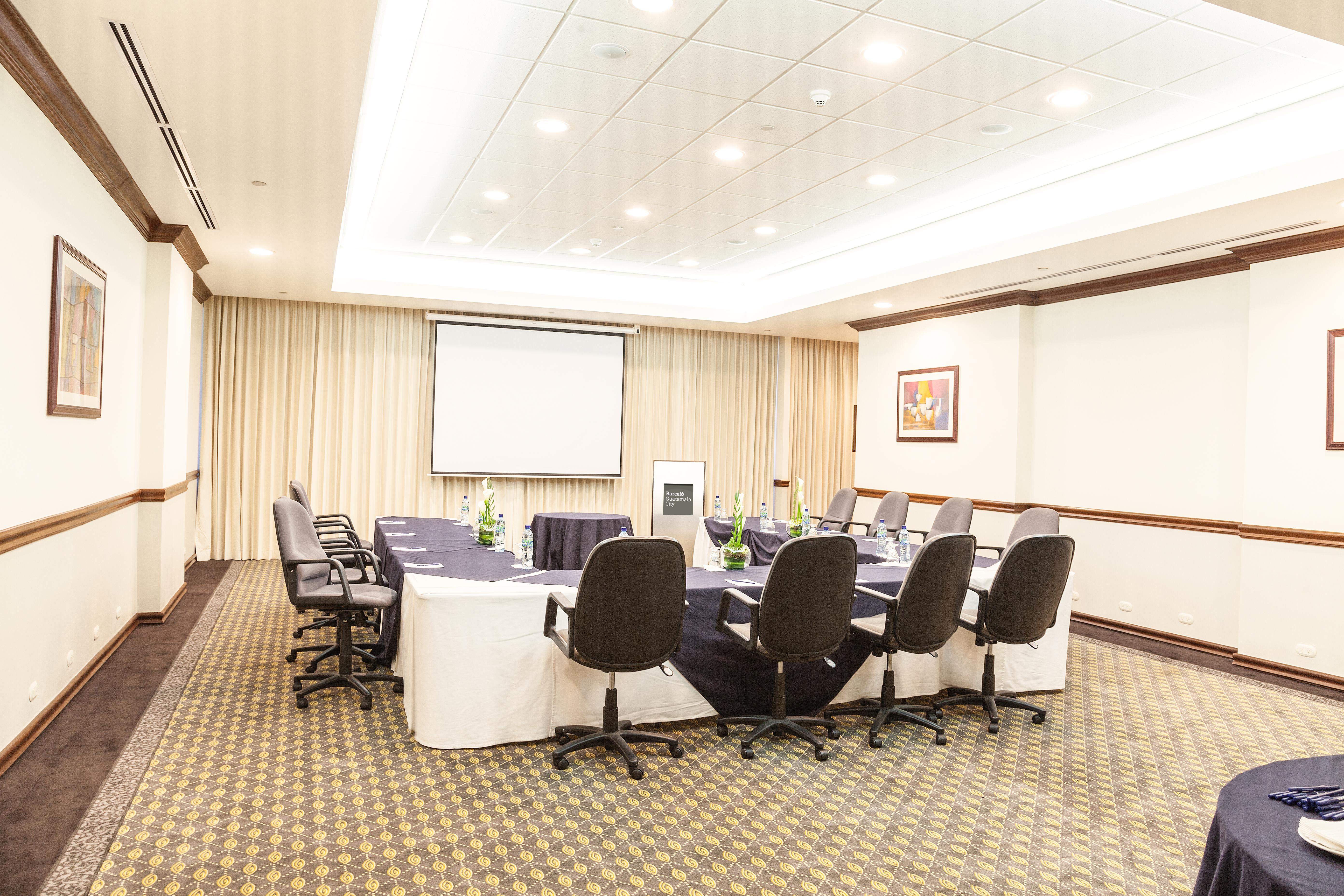 Barcelo Guatemala City Eksteriør bilde Meeting room